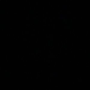 Meet your Posher, Corina